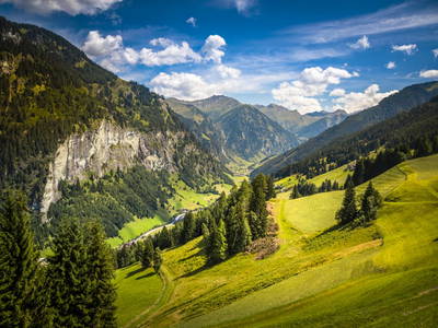 Bild 79 aus  Neuhaus