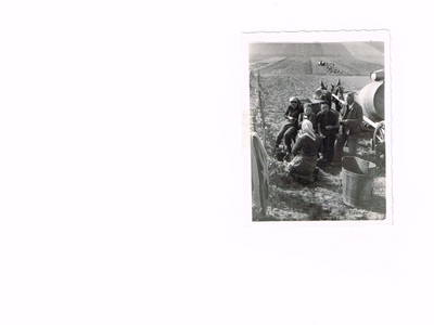 Bild 27 aus  Urlaubs - Weingut Kriegl