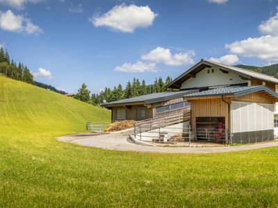 Bild 57 aus  Höllhof