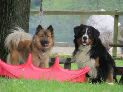 Bild 64 aus  Forellenhof