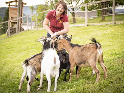 Bild 3 aus  Forstbauer