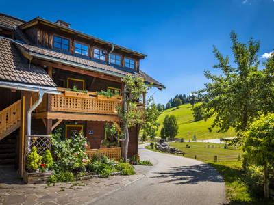 Bild 94 aus  Zauchtalerhof