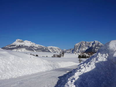 Bild 235 aus  Stanglhof