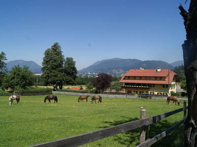 Bild 30 aus  Petritsch-Hof