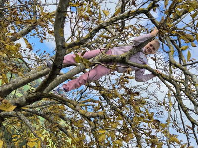 Bild 49 aus  Seyerlehnerhof