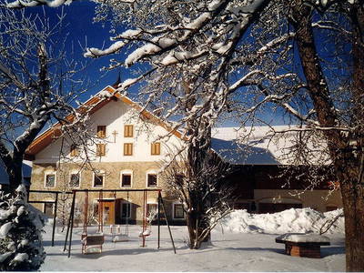 Bild 47 aus  Bio Bauernhof Paulbauer