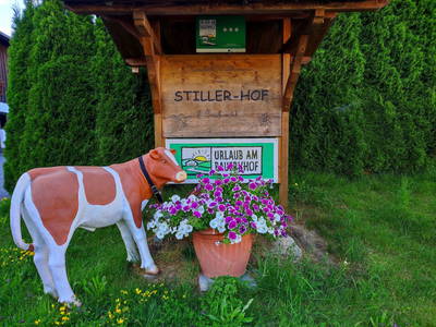 Bild 4 aus  Stillerhof