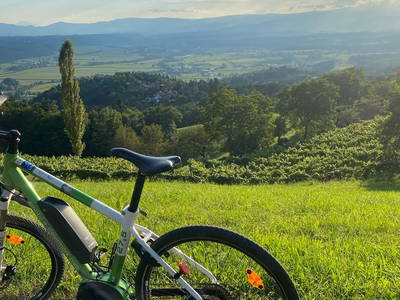 Bild 52 aus  Privatzimmer Haring