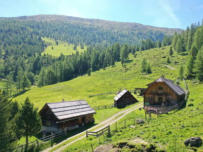 Bild 282 aus  Wolfsbachhütte