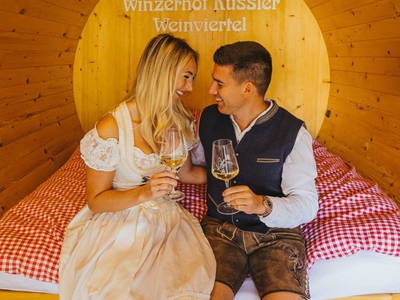 Bild 279 aus  Winzerhof Küssler, Weinviertel