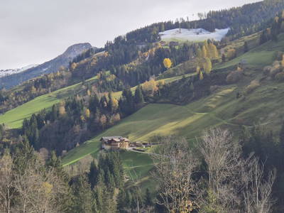 Bild 33 aus  Pfandlinghof