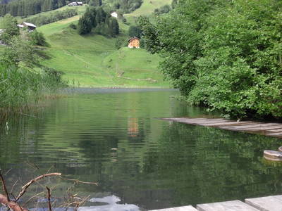 Bild 28 aus  Bio Bauernhof Burtscher