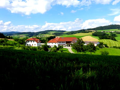 Bild 2 aus Biohof Schafflhof
