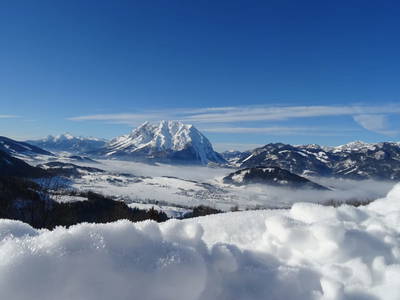 Bild 65 aus  Biobauernhof Thonnerhof