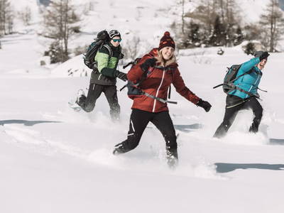 Bild 336 aus  Der Ortnerhof