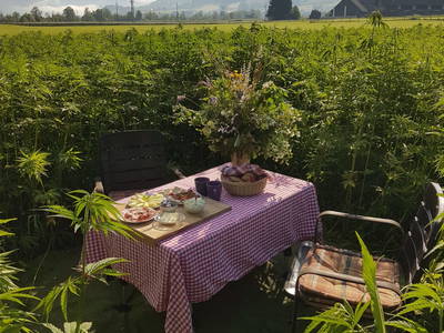 Bild 33 aus  Meissnitzerhof