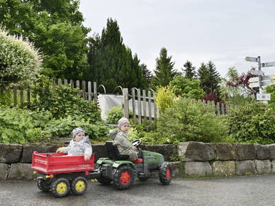 Bild 31 aus Ferienbauernhof Fessler