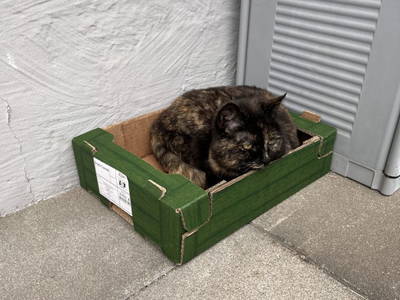 Bild 87 aus  Spöttlinghof