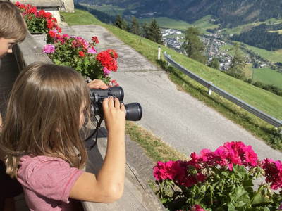 Bild 101 aus  Schuistlhof