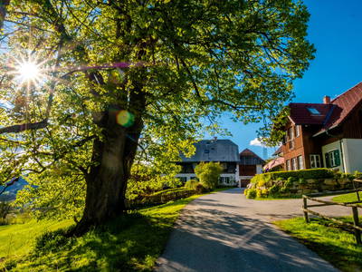 Bild 2 aus  Haunzwickl