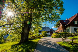 Haunzwickl aus Mürzzuschlag