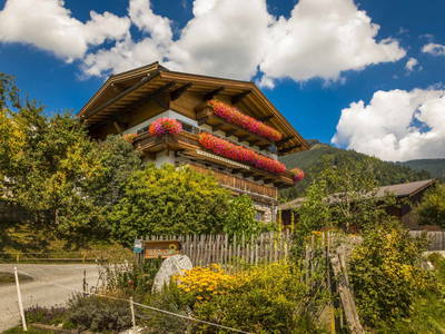 Bild 42 aus  Torlehenhof