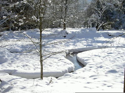 Bild 63 aus  Unplugged Almhütte "Waldbauer" in Alleinlage