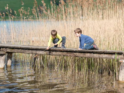 Bild 12 aus  Ferienhof Ederbauer