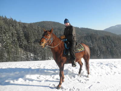 Bild 45 aus  Michlbauer