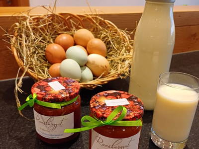 Bild 186 aus  Ferienhof Ransburggut