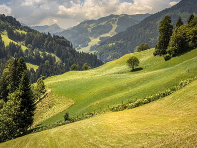 Bild 62 aus  Schaidreithof