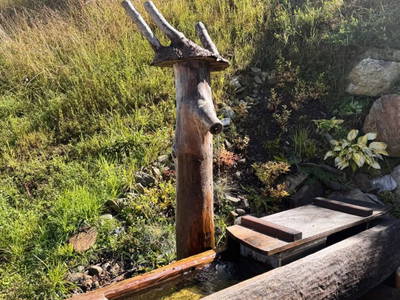 Bild 111 aus  Ferienwohnung Wallner