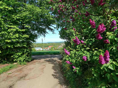 Bild 6 aus  Marienhof