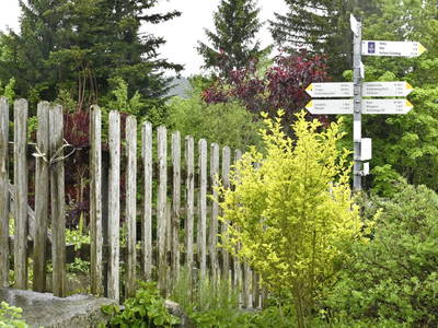 Bild 13 aus Ferienbauernhof Fessler