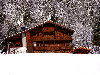 Bild 30 aus Chalet Bascht am Maroldenhof