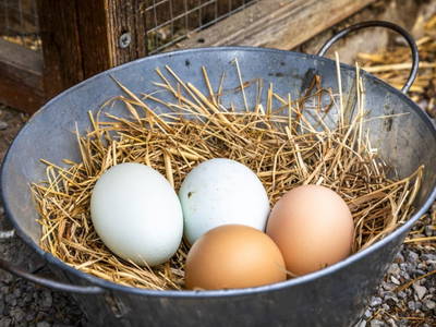 Bild 6 aus  Hochthron Suites