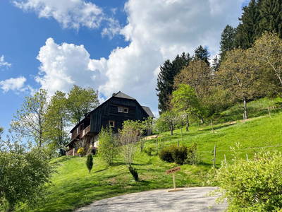 Bild 58 aus Künstlerstubn