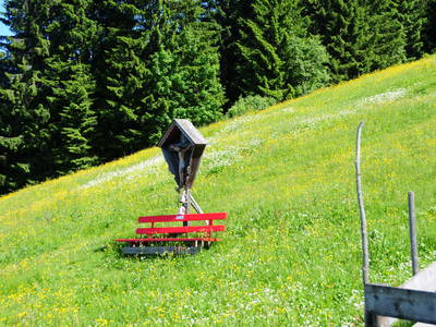 Bild 61 aus  Hartlhof Urlaub am Baby- und Kinderbauernhof