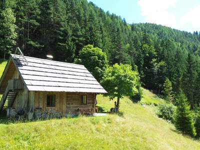 Bild 79 aus  Almhütte Meierle