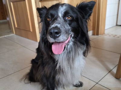 Bild 47 aus  Bruderhof