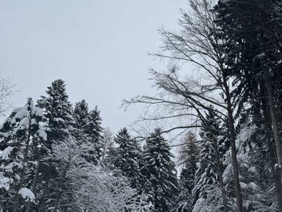 Bild 120 aus  Zwanzgerhof