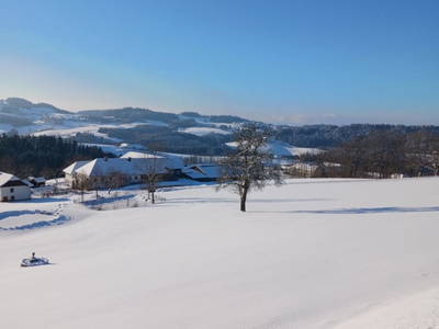 Bild 28 aus  Nußbaumer