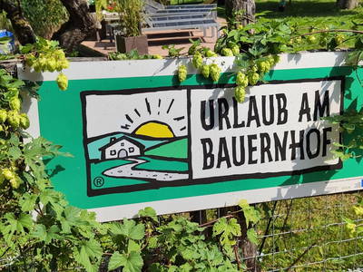 Bild 113 aus  Obergrafenberger