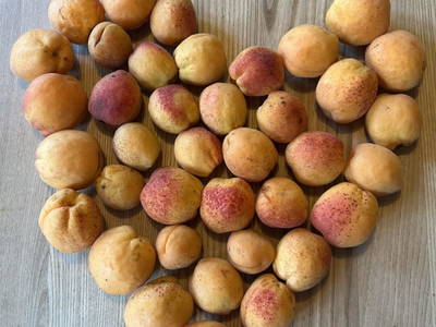 Bild 57 aus  Biohof Seidl