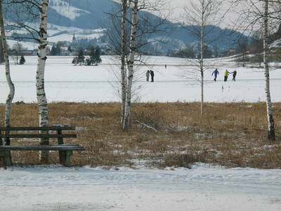 Bild 80 aus  Pension Glitschnerhof