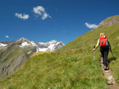 Bild 322 aus  Der Ortnerhof