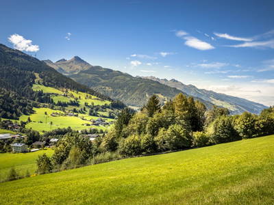 Bild 57 aus  Viehhofgut