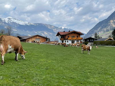 Bild 13 aus  Bio-Bauernhof Schweizerhof