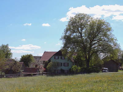 Bild 2 aus  Reit-, Pensions- und Ferienhof Zehendner