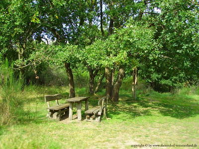 Bild 27 aus  Thomsdorf Sommerland